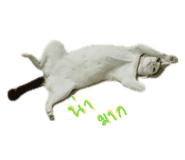 885559778