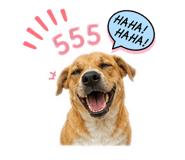 885559950