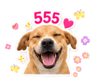 885559965