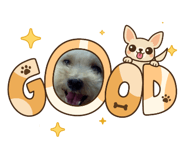 885560101