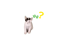 885560333