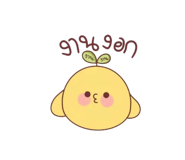 885560728