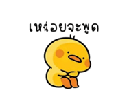 885561180