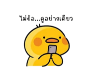 885561181