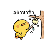 885561185