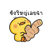 885561188