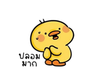 885561730