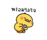 885561734