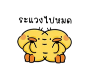 885561739