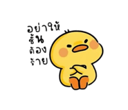 885561740