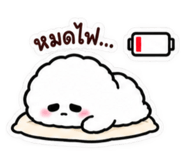 885561911