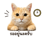 885562208
