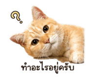 885562210