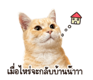 885562212