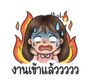 885562858
