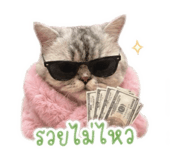 885563081