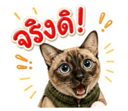 885563363