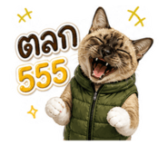 885563364