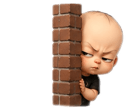 885565491