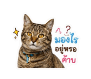 885574987