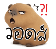 885580871