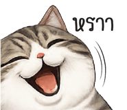 885580875