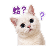 885582129