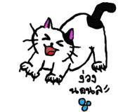 885587163