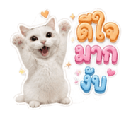 885587514