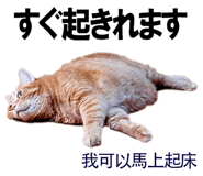 885592009