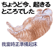 885592010