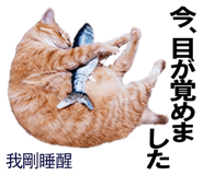 885592011