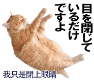 885592013