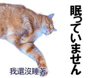 885592015
