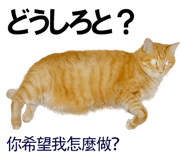 885592018