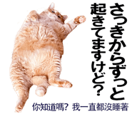 885592019