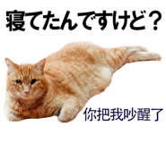 885592020