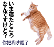 885592021