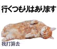 885592030