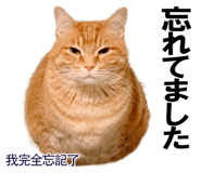 885592038
