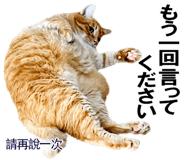 885592039