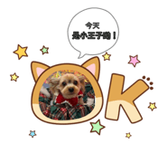 885599994