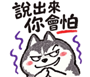 885600784