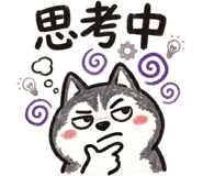 885600794
