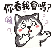 885600795