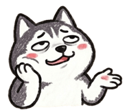 885600810