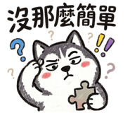 885600811