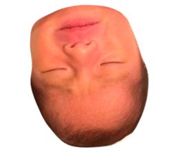 88560850