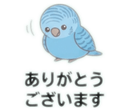 885609537