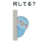 885609558